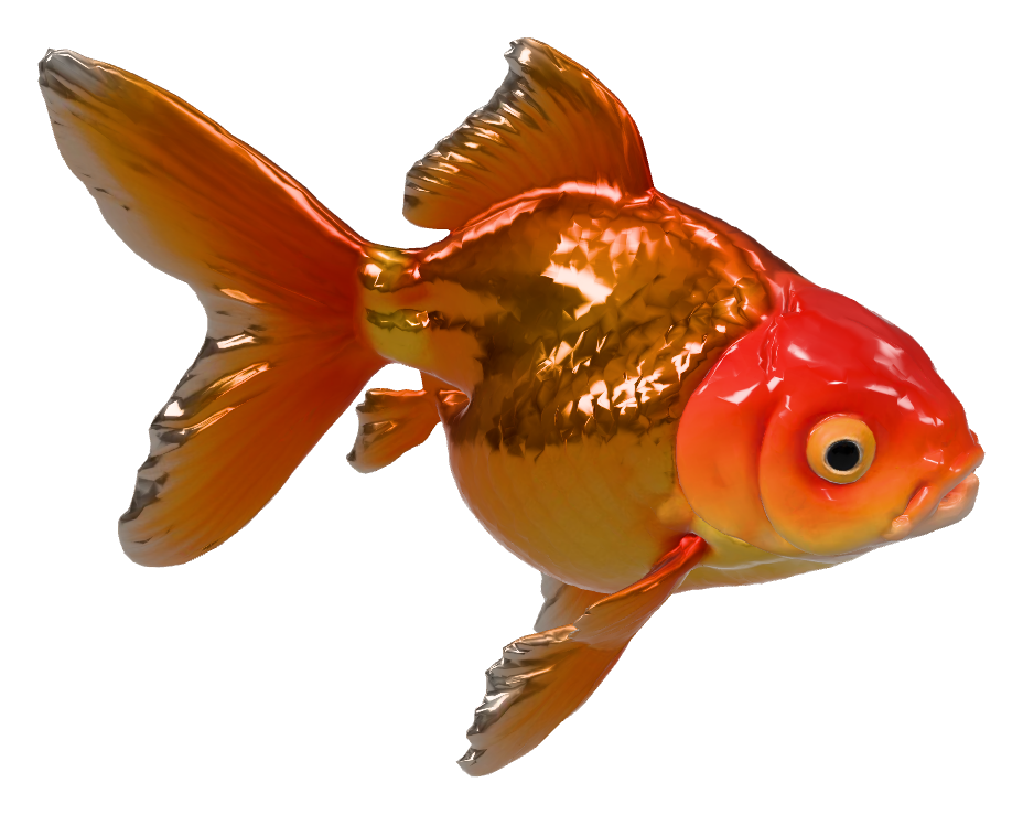 琉金金魚